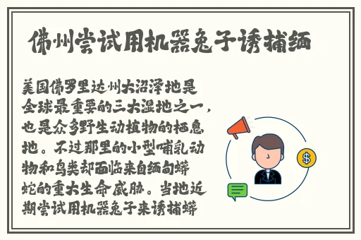 国产系列丝袜**精品网站